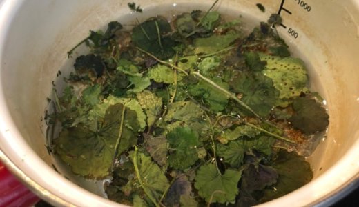 申し込み用紙を掲載しました。