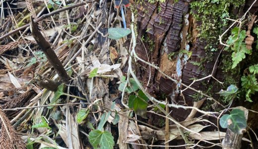 第1回説明会を実施しました